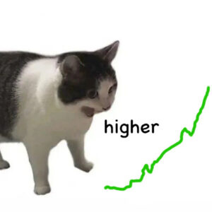 higher Coin: Discover the MEME Coin - 'higher', We Going Much Higher!