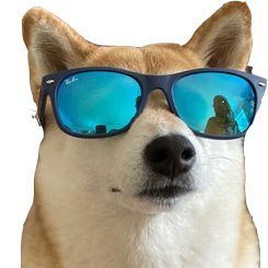 DOGWIF Coin: meme Coin - Dog WIF Sunglasses, a Hilarious MEME Addition!