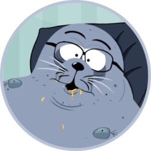 SEAL Coin: Meet Sealana, the chubby meme Coin name Coin on Solana!