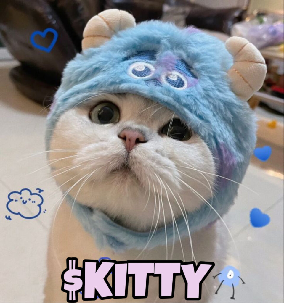 $KITTY: Fun Meme Coin Inspired by Sulley - Join the KITTY Coin Community