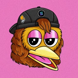 DUCKY Coin: Meme Coin name of Pepe's fren DuckyDuck | Just Duck it!