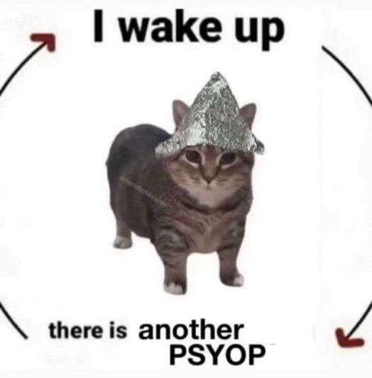 PSYOP CAT Coin: Discover MEME Coin PSYOP - The Ultimate MEME Source