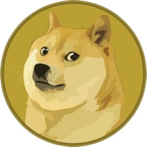 The Contract Address is Doge