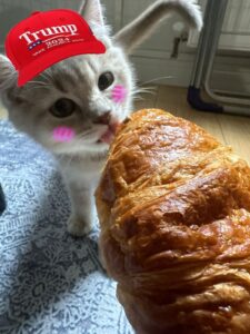 cat with croissant