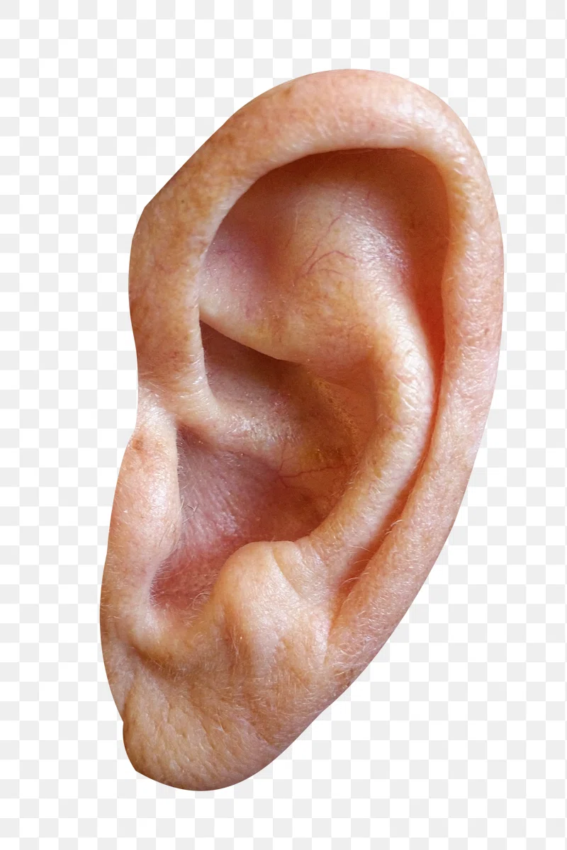 Trump's Ear