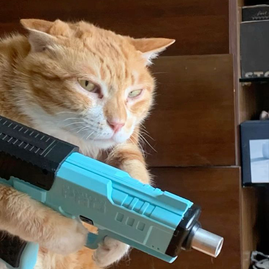 Shooter Cat