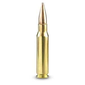 A Sniper Bullet