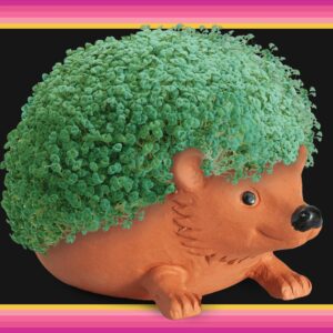 Chia Pet