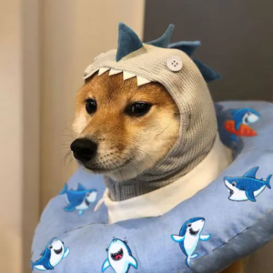 SHARK INU: Dive into Danger with SHARK Coin - The Ultimate Meme Coin