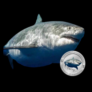 TERRY Coin: Discover the latest MEME Coin gifts from Terry the Fat Shark!