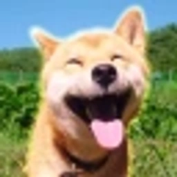 MARU: Happiest Shiba Inu Meme Coin - Discover $MARU Coin Today!