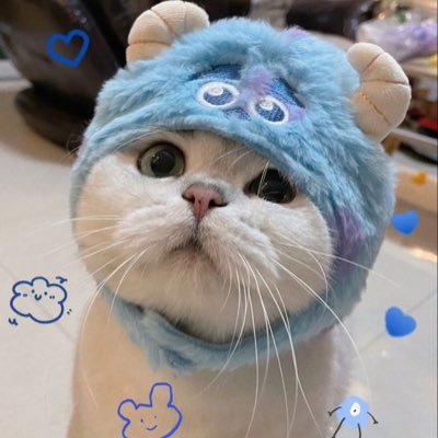 KITTY Coin: Playful Meme Coin Inspired by Furry Feline Sulley