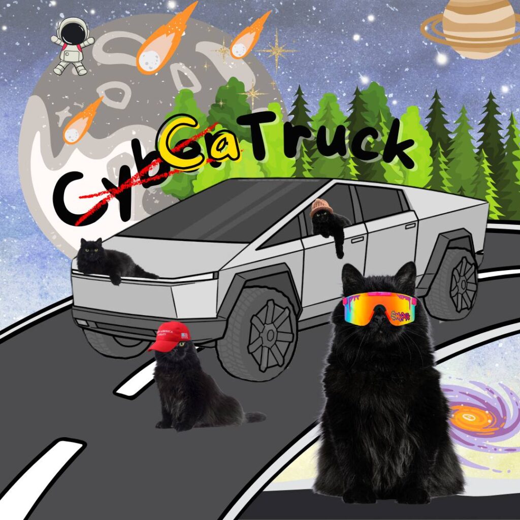 CaTruck: Unique Meme Coin Name Coin Blending Cybertruck & Cats - $CTRUCK