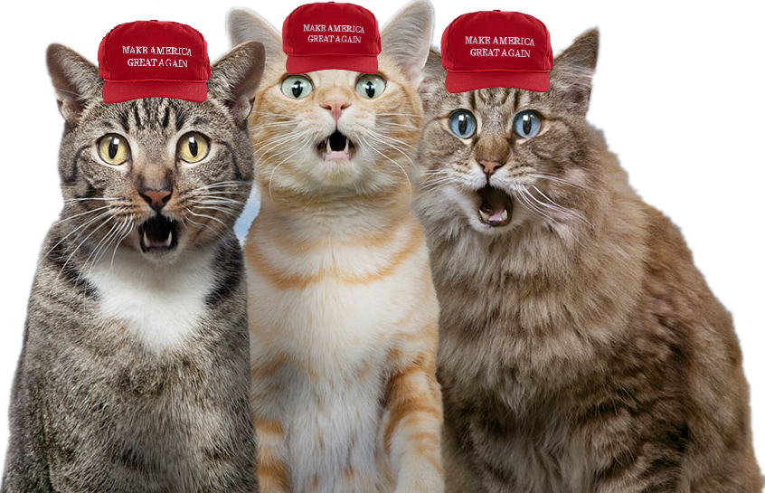 MEO Coin: The purrfect MEME Coin sensation 'me o maga