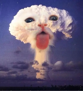 Nuki Coin: Discover MEME Coin Nuki – The Cat Going Nuclear on Solana