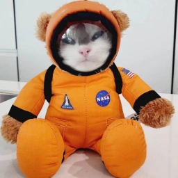 NASA Coin: NASACAT Meme Coin to the Moon with MEME Coins! 🚀🐱