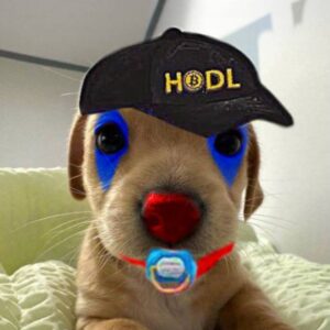 RPT Coin: Cutest MEME Coin - Retardio Puppy Token Fun