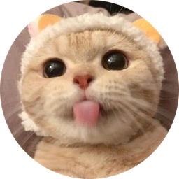 MLEM Coin: Discover MLEM, the Cutest Meme Coin on Solana!