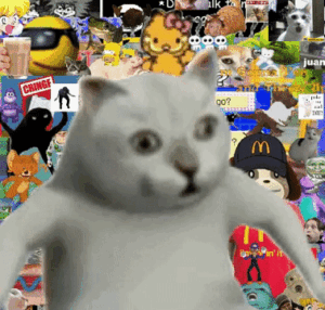 OMG Coin: Discover 'Oh Meow God!!!' - The Latest Meme Coin Craze