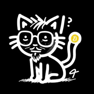 Kitcoin: $KTC Meme Coin - Inspired by Katoshi, Satoshi's Feline Pal