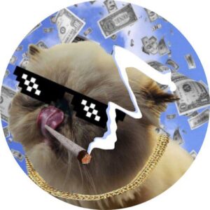 MIGGLES Coin: Hot New Cat-Themed Meme Coin on Solana