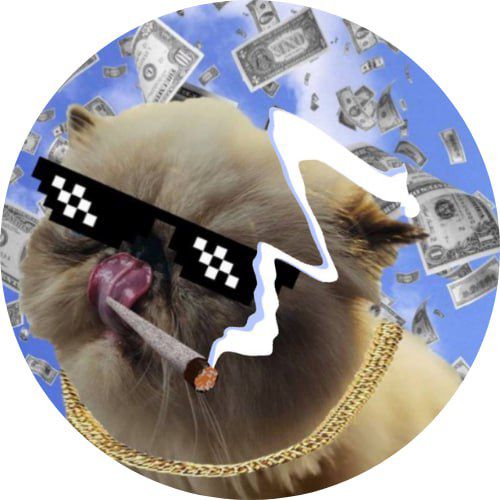 MIGGLES Coin: Hot New Cat-Themed Meme Coin on Solana