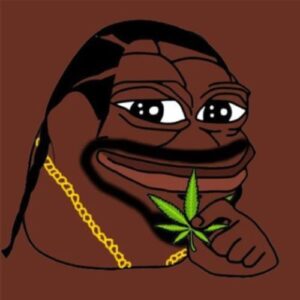 NEPE: Meme Coin Nigga Pepe – Humor & Culture in a Coin Name Coin