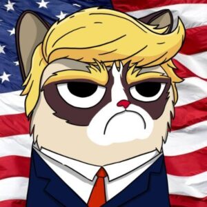 TIGGLES: $TIGGLES MEME Coin - President of Cats on SOL Trump Miggles