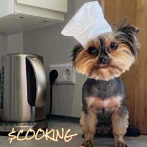 COOKING Coin: Discover the hottest meme Coin on sol - Stay cooking