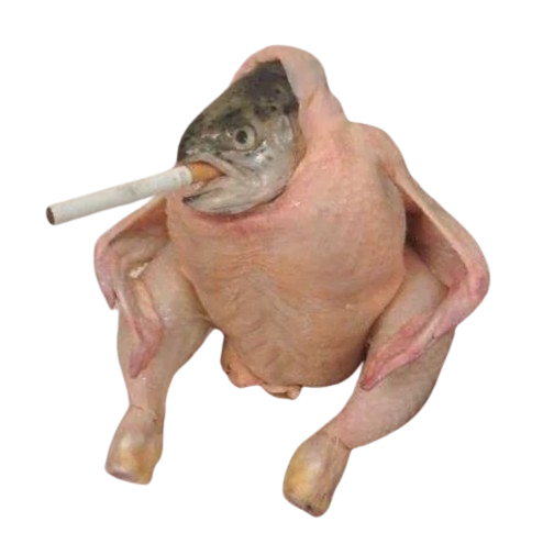 SCF: Smoking Chicken Fish meme Coin - He who holds, gets richer