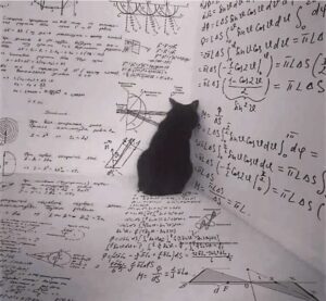 Quant Coin: Thesis Cat Meme - Quant Coin Research & Analysis