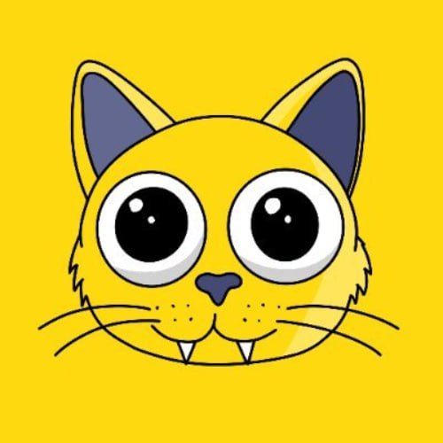 CAT Coin: Catson's Meme Coin - Join Community & Discover More!