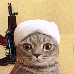 OSAMA Coin: Discover Bin Kitten MEME Coin, Blowing Up Stuff for Fun