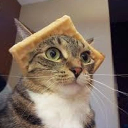 WAT Coin: Discover the Tastiest Meme Coin, Waffle Cat, $WAT Fun