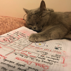 study Coin: Dive into the latest MEME Coins and Study the cat!