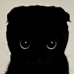 void Coin: Discover 'void', the Blackest Cat Meme Coin on Solana