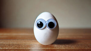 EGGY: Meme Coin with Eggy The Pet Egg, Adorable and Charming!