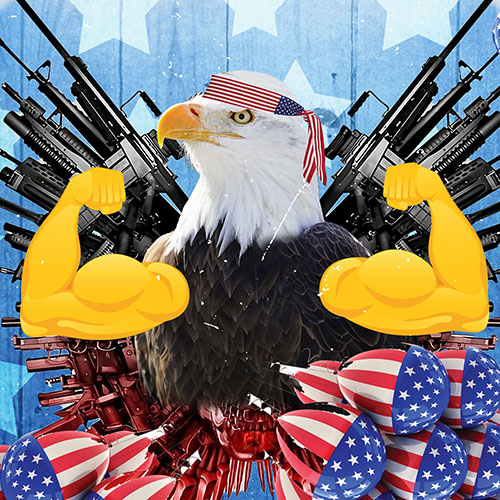 MURICA Coin: American Bird Meme Coin - Most Patriotic Ever!