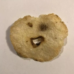 chippy: Discover the Cutest Potato Chip MEME Coin Ever! chippy Coin