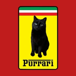 Purrari Coin: Discover the Latest Meme Coin - $Purrari Bought with BTC!