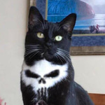 $SKULLCAT: Rule the Meme Coin World with Skull Cat Coin Power