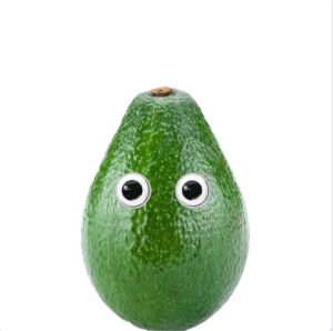 $AVI Coin: My Pet Avicado - Funny MEME Coin Name for Cute Avocado