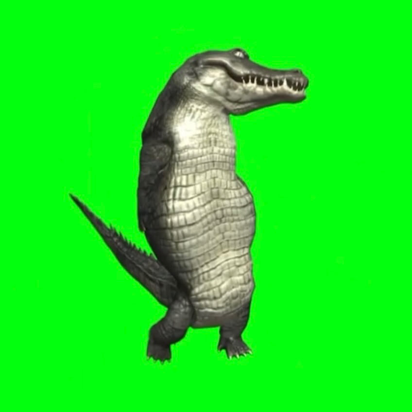 gator Coin: Discover the Groovy Dancing Alligator in MEME Coin World!