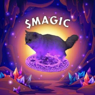 MAGIC Coin: Discover the $magic MEME Coin, Not Just Another Cat Coin