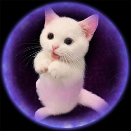 Charm Coin: Adorable Kitten MEME Coin to Charm Millions - Join Us