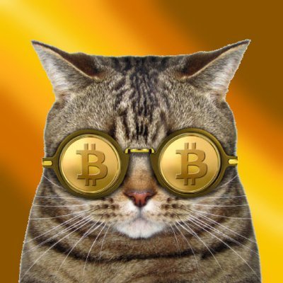 BTC Coin: Buy This Cat - Join the MEME Coin Craze with $BTC