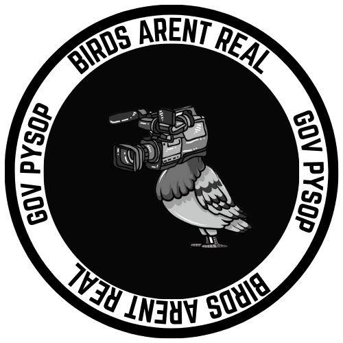 BAR Coin: Birds Aren't Real, Meme Coin for Truth Seekers