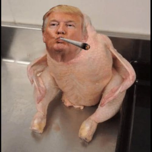 SCT Coin: Meme Coin 'Smoking Chicken Trump' - Latest Craze!