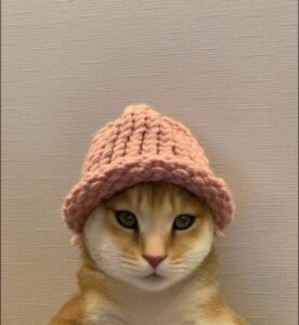 catwifhat