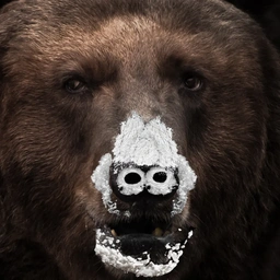 BONC Coin: Bear On Cocaine - Wildest Meme Coin name Coin